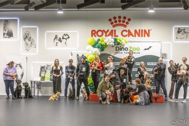 Halloween ballīte ar suņiem 2025