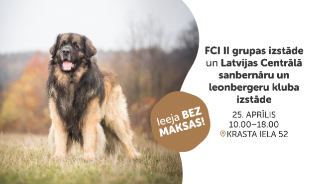 FCI II grupas izstāde un Latvijas Centrālā sanbernāru un leonbergeru kluba izstāde