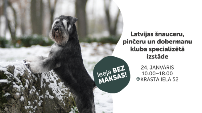 Šnauceru, pinčeru un dobermaņu specializētā izstāde 