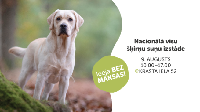 Nacionālā visu šķirņu suņu izstāde