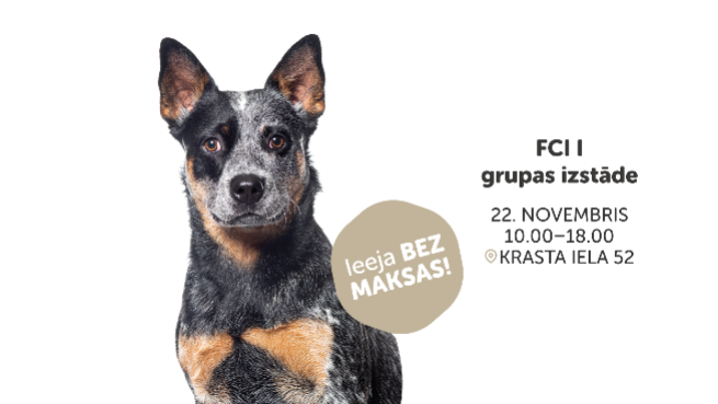 FCI I grupas izstāde