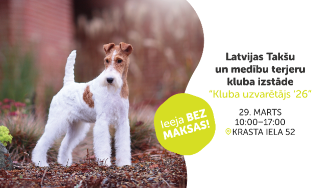 Latvijas Takšu un medību terjeru kluba izstāde “Kluba uzvarētājs ‘26”