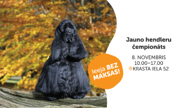 Jauno hendleru čempionāts