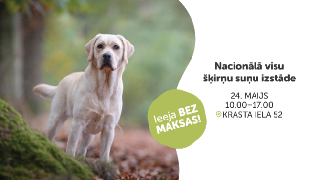 Nacionālā visu šķirņu suņu izstāde