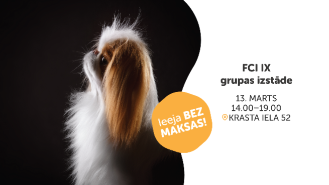 FCI IX grupas izstāde