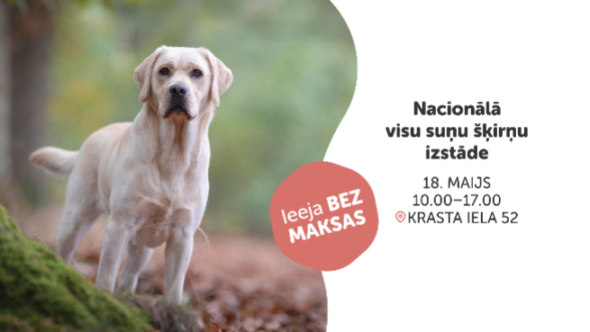 Nacionālā visu suņu šķirņu izstāde