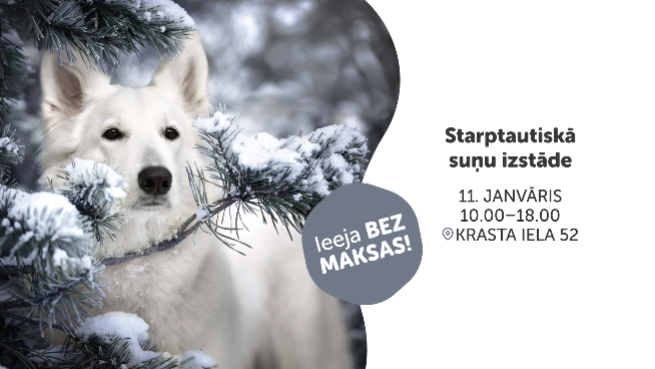 Starptautiskā suņu izstāde