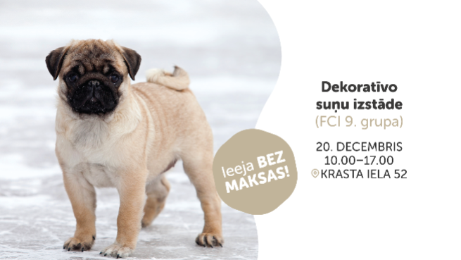Dekoratīvo suņu izstāde (FCI 9. grupa)