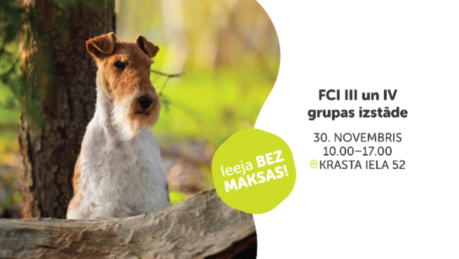 FCI III un IV grupas izstāde