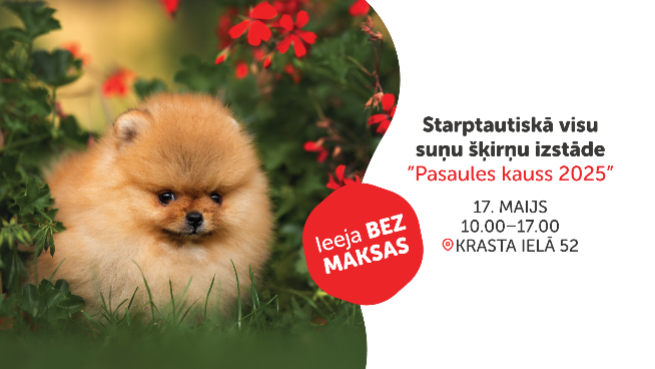 Starptautiskā visu suņu šķirņu izstāde “Pasaules kauss 2025”