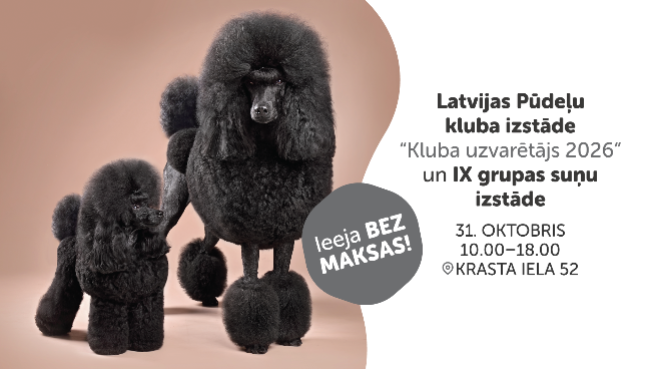 Latvijas Pūdeļu kluba izstāde “Kluba uzvarētājs 2026” un IX grupas suņu izstāde