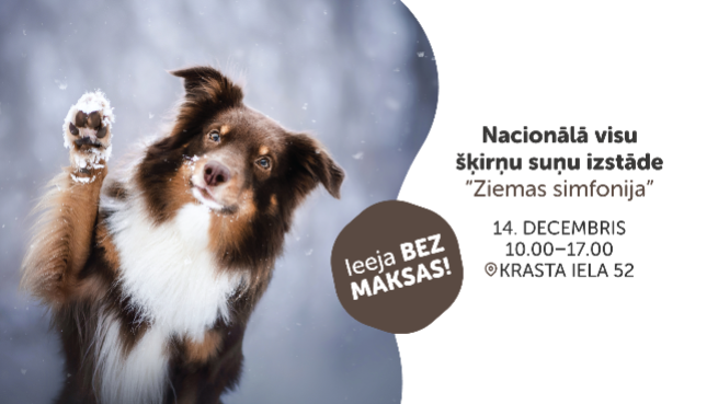 Nacionālā visu šķirņu suņu izstāde “Ziemas simfonija”