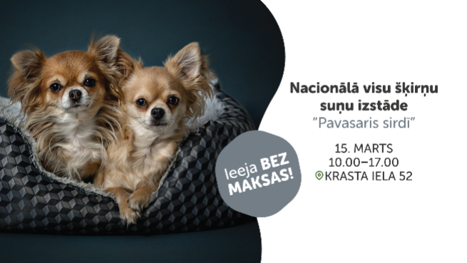 Nacionālā visu šķirņu suņu izstāde “Pavasaris sirdī”