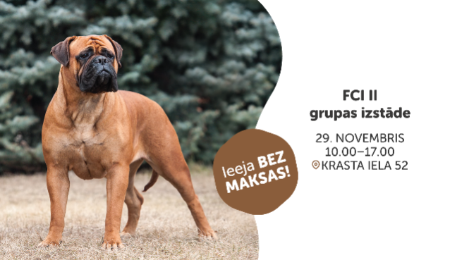 FCI II grupas izstāde