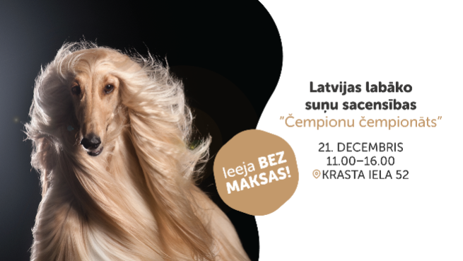 Latvijas labāko suņu sacensības “Čempionu čempionāts”