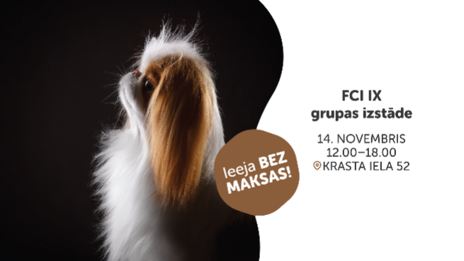 FCI IX grupas izstāde