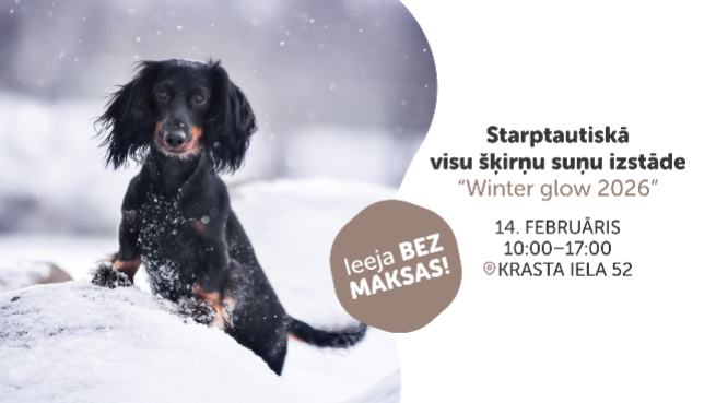 Starptautiskā visu šķirņu suņu izstāde “Winter glow 2026”