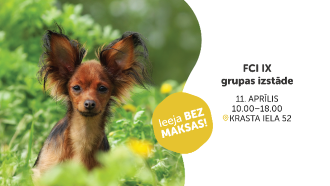 FCI IX grupas izstāde