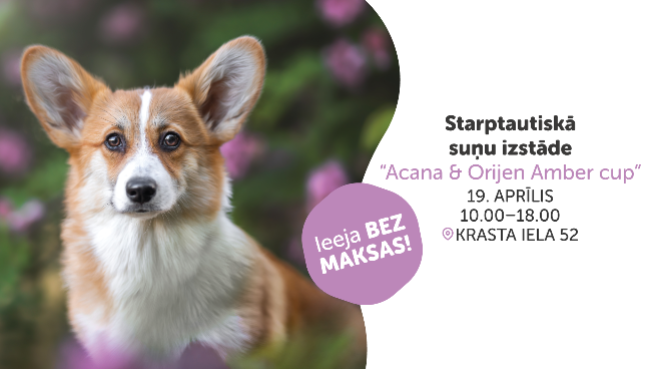 Starptautiskā suņu izstāde “Acana & Orijen Amber cup"