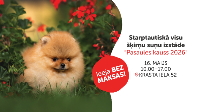 Starptautiskā visu šķirņu suņu izstāde “Pasaules kauss 2026”