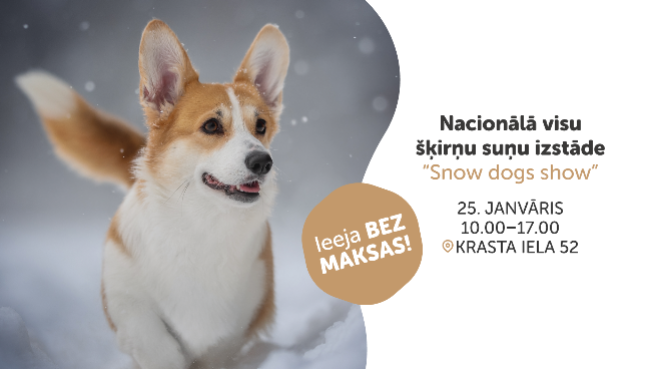Nacionālā visu šķirņu suņu izstāde  “Snow dogs show”