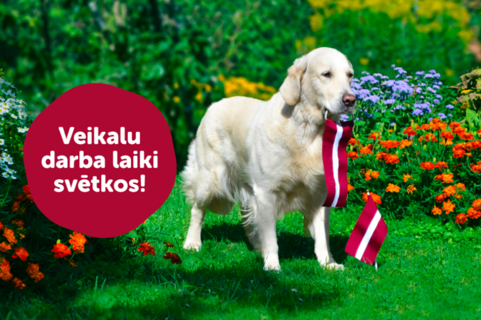 Veikalu darba laiki svētku brīvdienās!