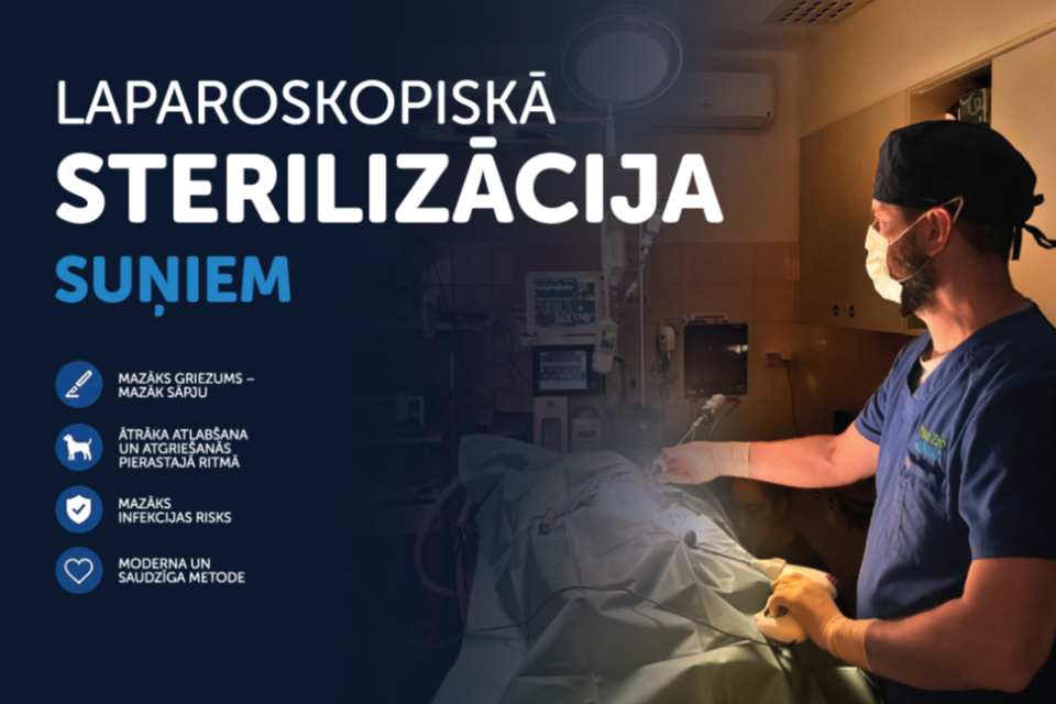Laparoskopiskā strerilizācija Dino Zoo klīnikā