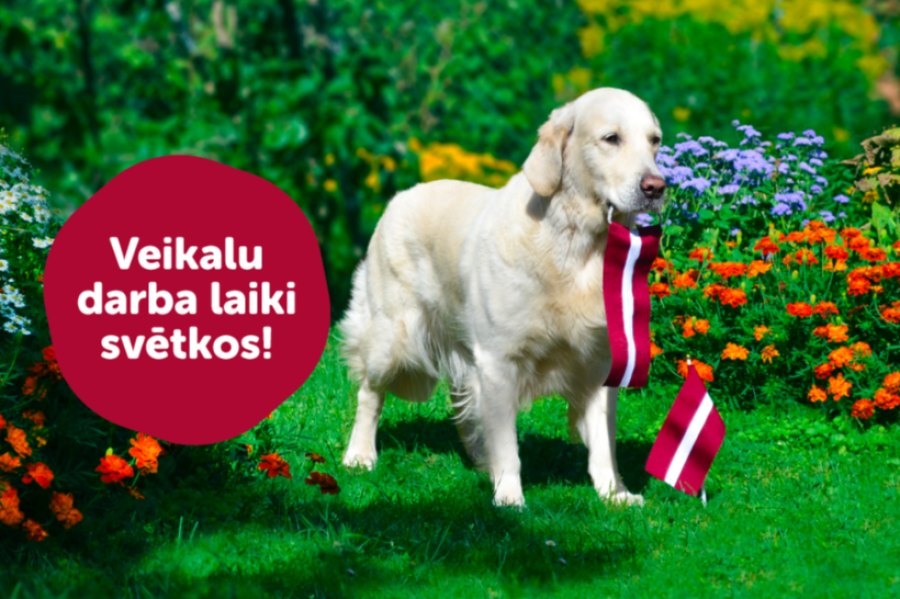 Veikalu darba laiki svētku brīvdienās!