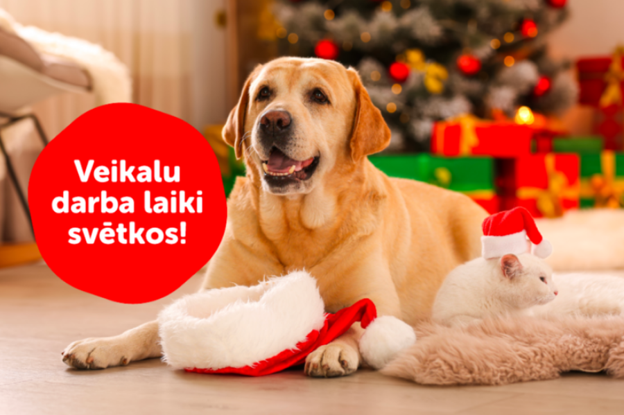 Dino Zoo veikalu darba laiki svētku brīvdienās! 