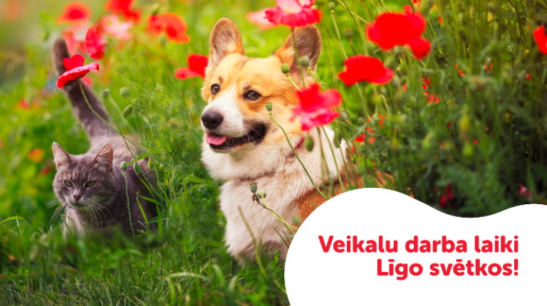 Veikalu darba laiki Līgo svētkos