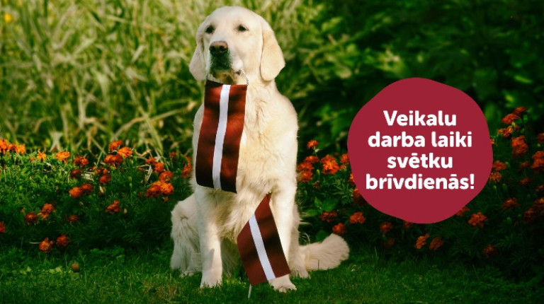 Veikalu darba laiki svētku brīvdienās!