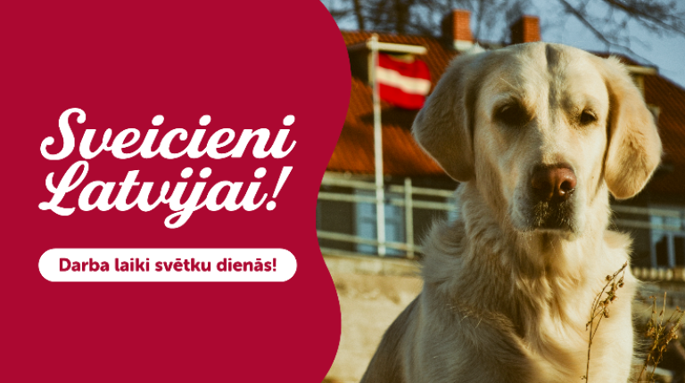  Dino Zoo veikalu darba laiki valsts svētku brīvdienās!