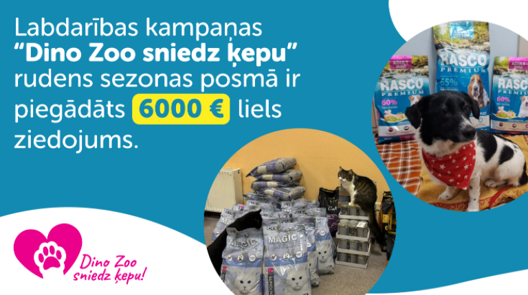 Novembrī Dino Zoo sniedz ķepu 6 mājdzīvnieku patversmēm.