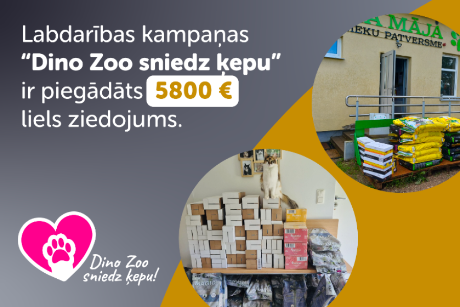  Jūnijā Dino Zoo sniedz ķepu 4 mājdzīvnieku patversmēm.