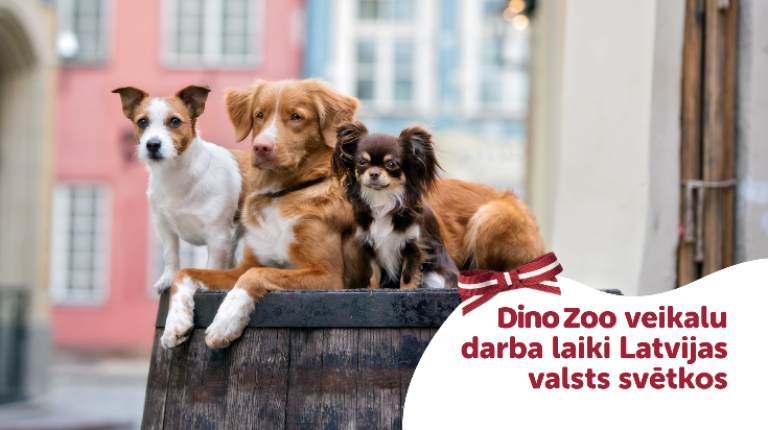 Dino Zoo veikalu darba laiki valsts svētku brīvdienās