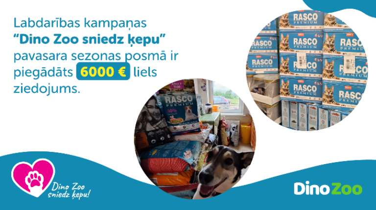 Maijā Dino Zoo sniedz ķepu 6 patversmēm