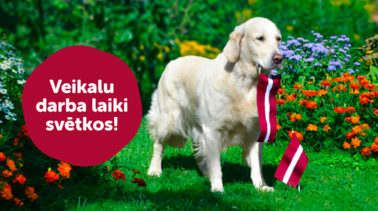 Veikalu darba laiki svētku brīvdienās!