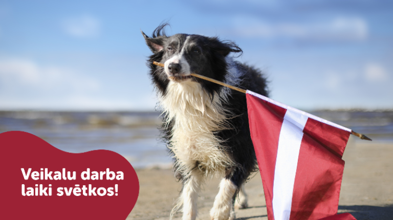 Veikalu darba laiki maija svētku brīvdienās