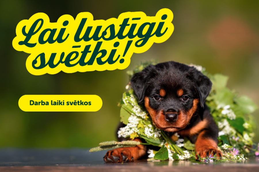 Dino Zoo veikalu darba laiki Līgo svētkos!