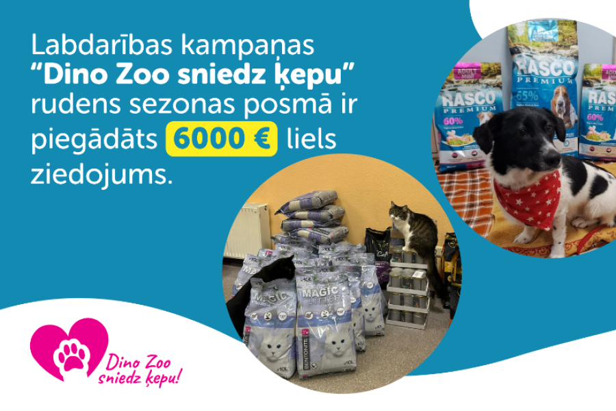 Novembrī Dino Zoo sniedz ķepu 6 mājdzīvnieku patversmēm.