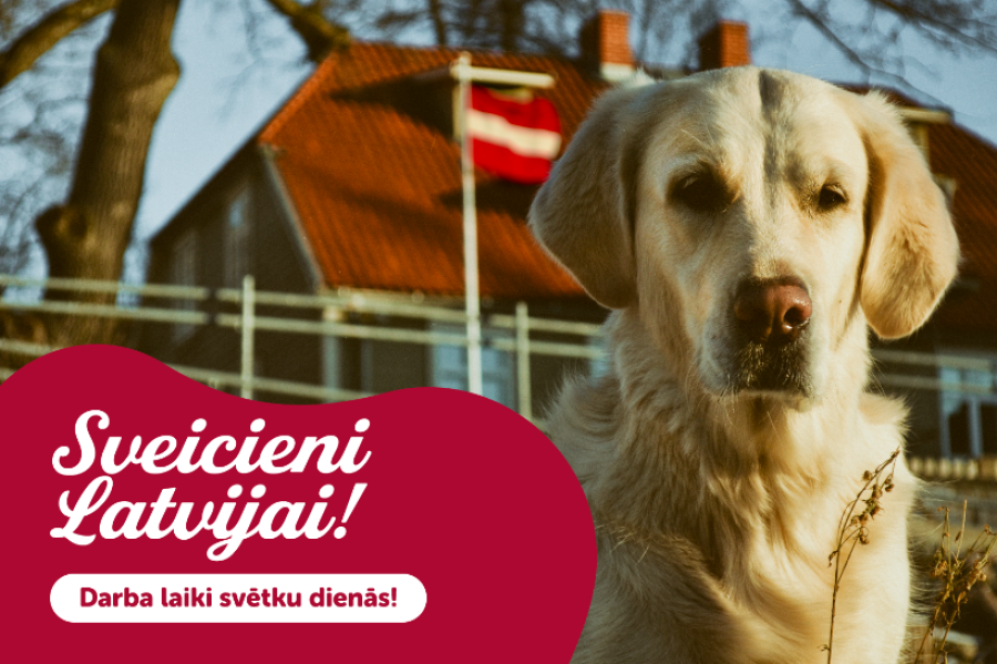  Dino Zoo veikalu darba laiki valsts svētku brīvdienās!