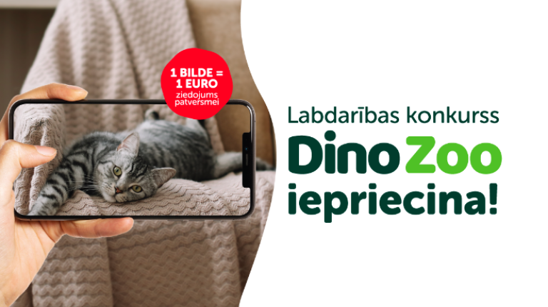 Labdarības fotokonkurss – Dino Zoo iepriecina!