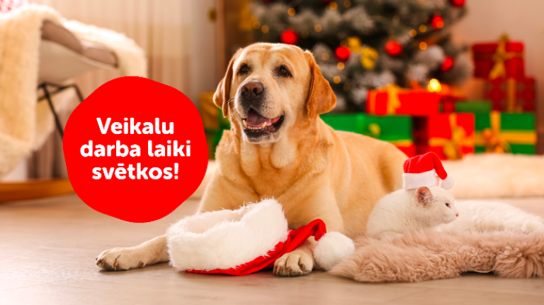 Dino Zoo veikalu darba laiki svētku brīvdienās! 