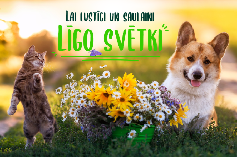 Veikalu darba laiki Līgo un Jāņu dienās!