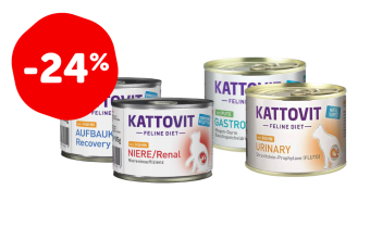 KATTOVIT