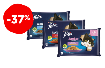 FELIX FANTASTIC