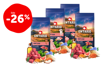ONTARIO