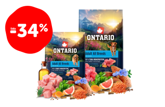 ONTARIO