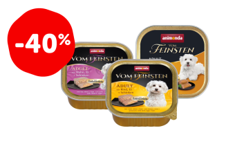 VOM FEINDTEN