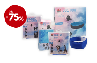 DOG FANTASY